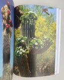 Cactus Photographs