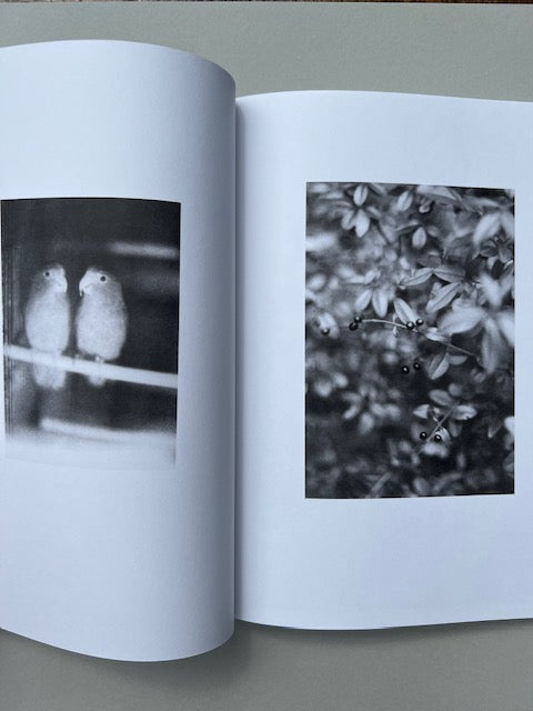 Jochen Lempert - Pairs – Errant Books