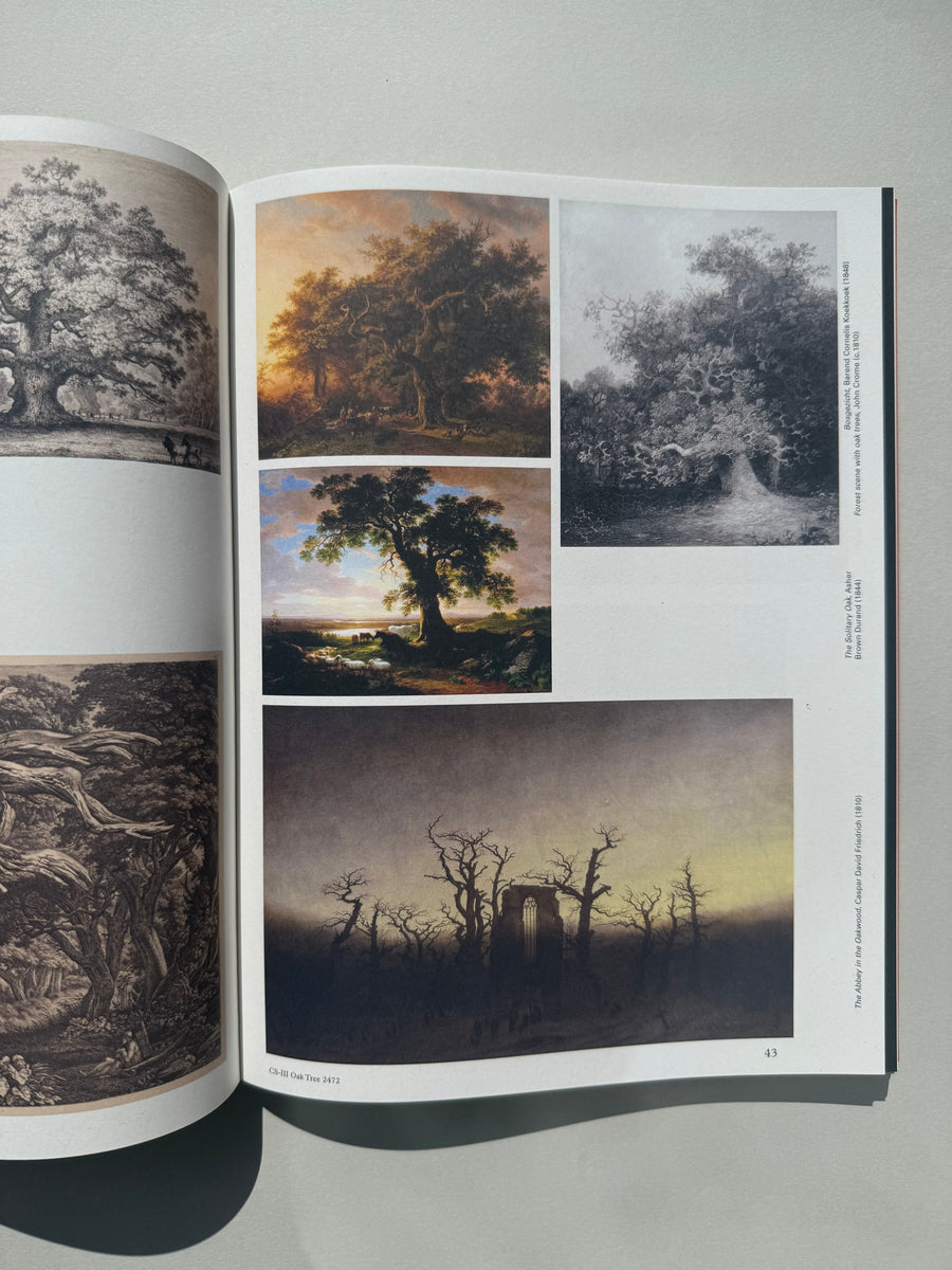 Floating Signifiers by Daan Paans – Errant Books