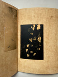 Juanan Requena - The Flight Leads to the Flight