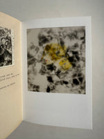 Some Stones Are Ancient Books - Richard Sharpe Shaver