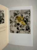 Some Stones Are Ancient Books - Richard Sharpe Shaver