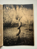 Juanan Requena - The Flight Leads to the Flight