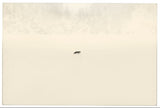 Nusa by Masao Yamamoto and Akira Uchida (Book)