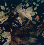 Robby Muller LA Polaroids