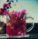 Robby Muller LA Polaroids