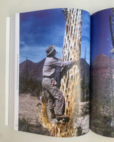 Cactus Photographs