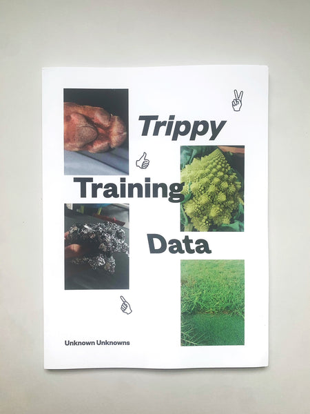 Trippy Training Data
