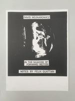 In the Shadow of Forward Motion - David Wojnarowicz